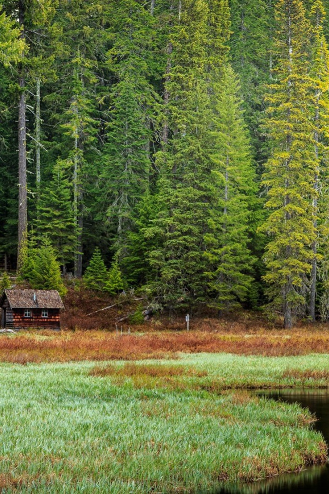 Избушка на опушке леса, Орегон