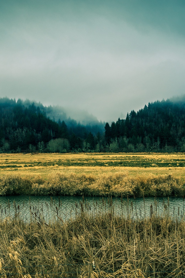 Река в болотистой местности, Орегон