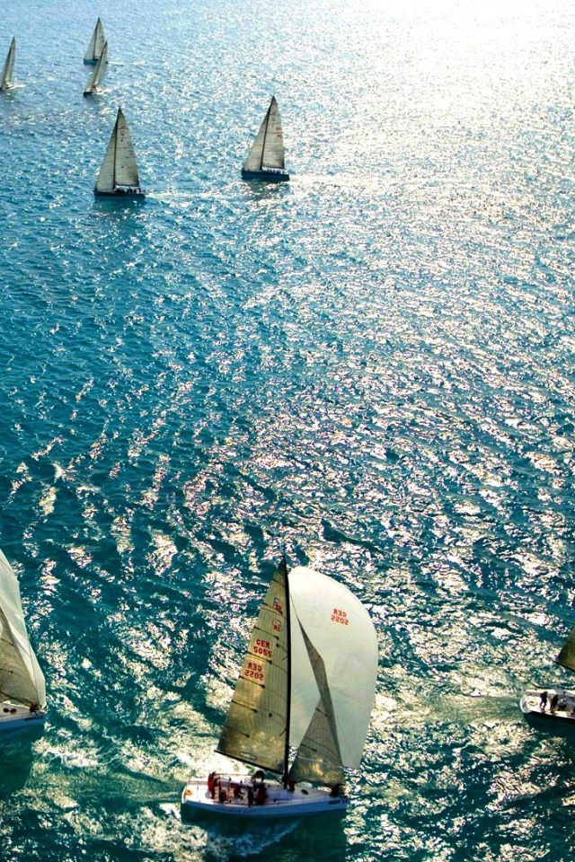 Парусные гонки во Флориде