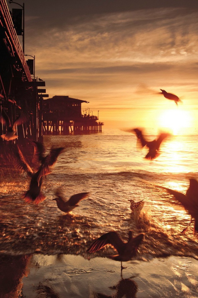 Закат в Санта-Монике. Калифорния, США