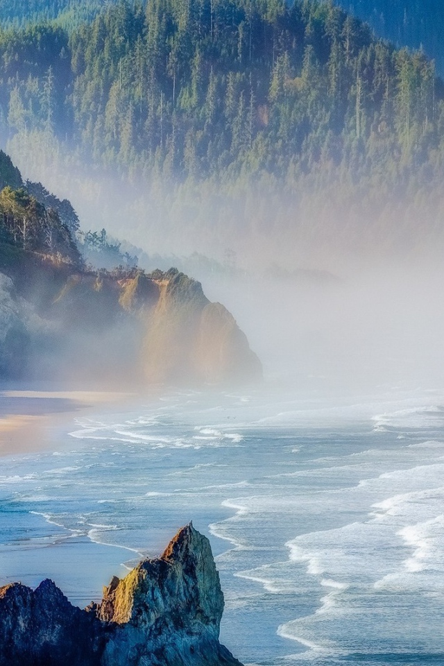 Лесистые горы на берегу в Орегоне