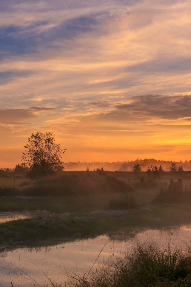 Woodland Park, Нью-Джерси, США