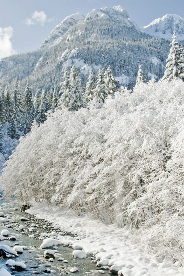 Йеллоустонский Национальный Парк , США