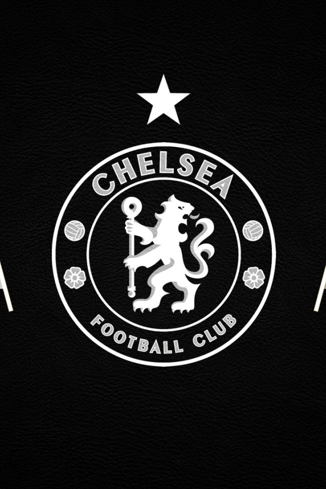 Футбольный клуб Челси, логотип  белый на сером