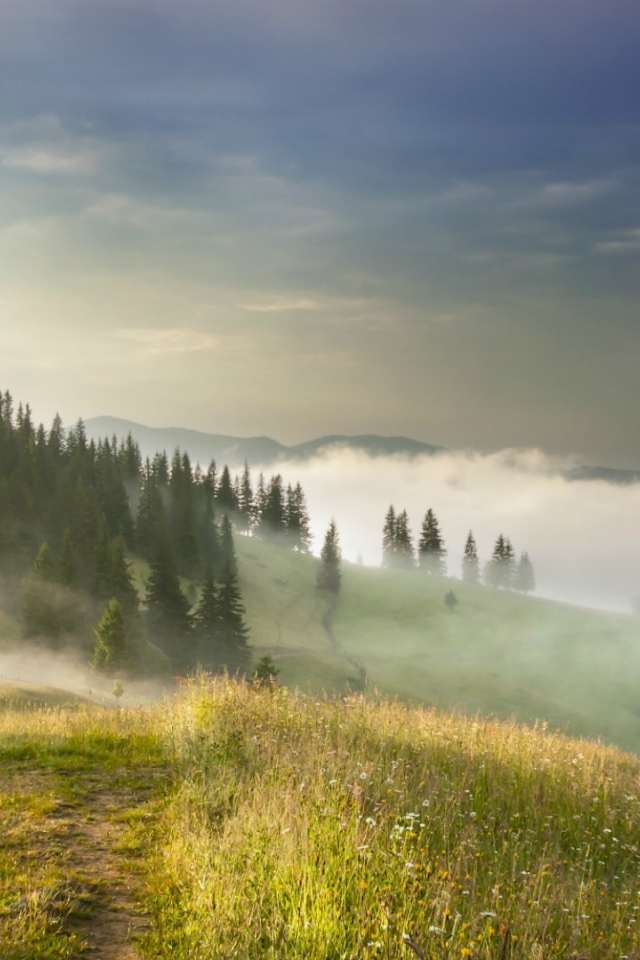 Туман в Карпатах, Украина