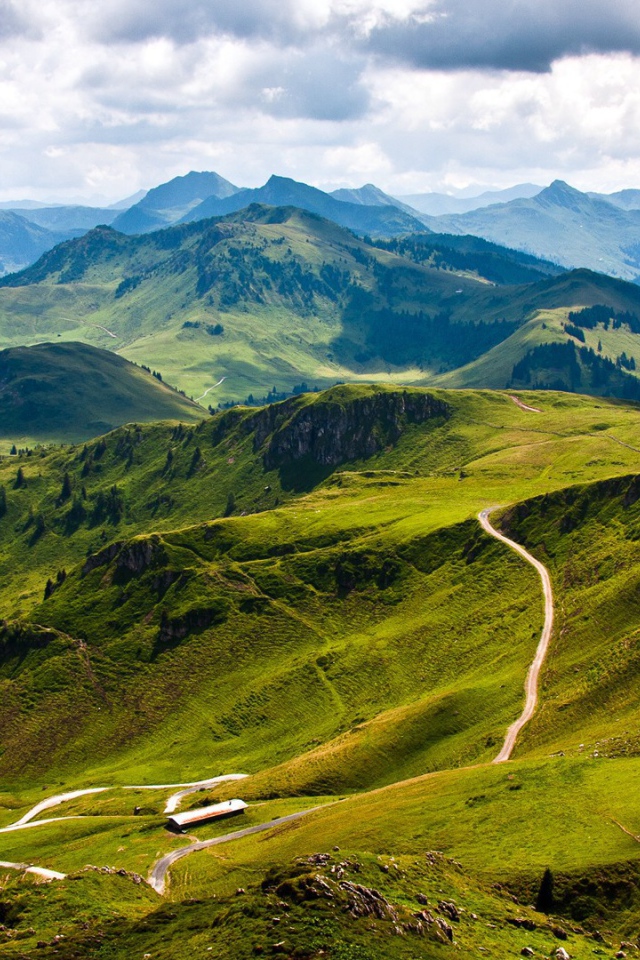 Зеленые склоны гор Карпат