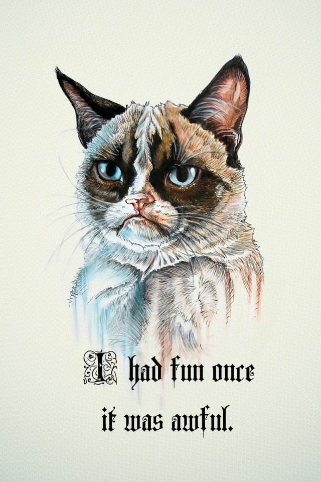 Я не люблю веселье