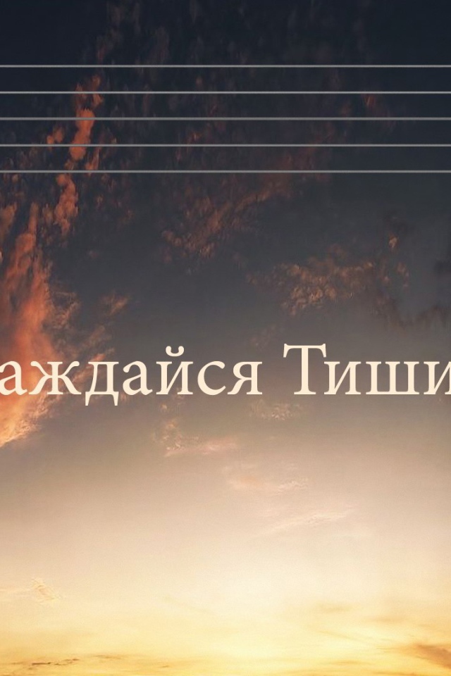 Просто наслаждайся тишиной