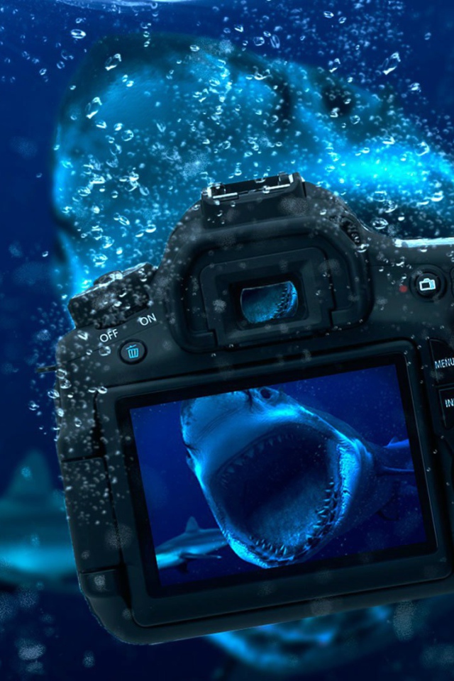 Occupation underwater photography