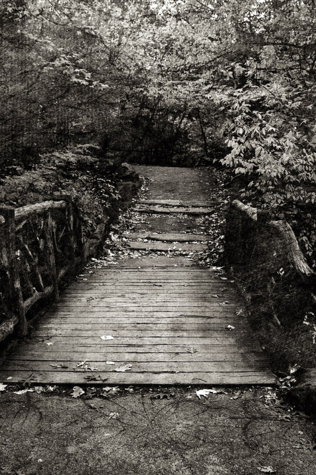 Эффект холста на черно белом фото