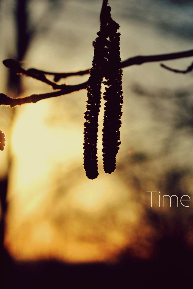 Время идет вперед