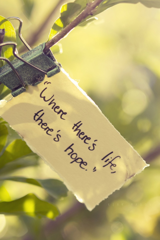 Где есть жизнь там есть и надежда