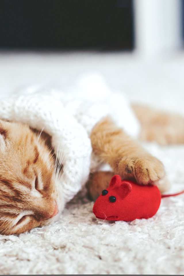 Маленький рыжий котенок спит с игрушечной мышкой