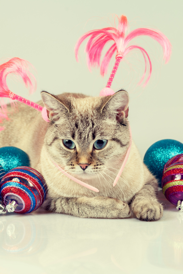 Серый кот с красивыми разноцветными новогодними шариками