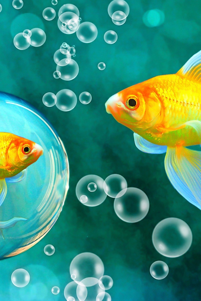 Красивые золотые рыбки под водой 