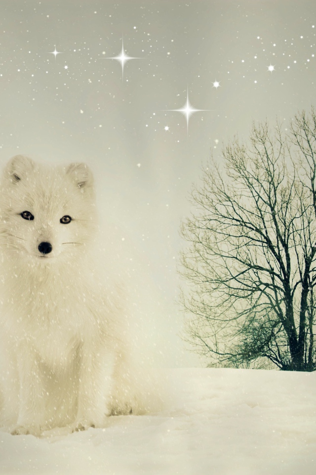 Белый песец сидит на снегу у сухого дерева