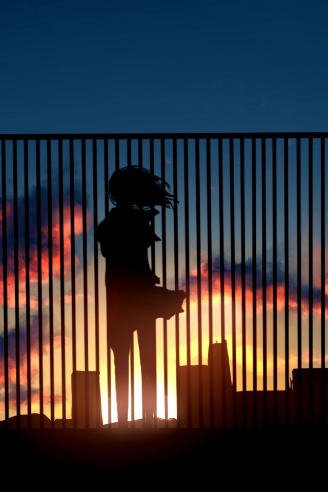 Аниме девушка на крыше смотрит на закат  