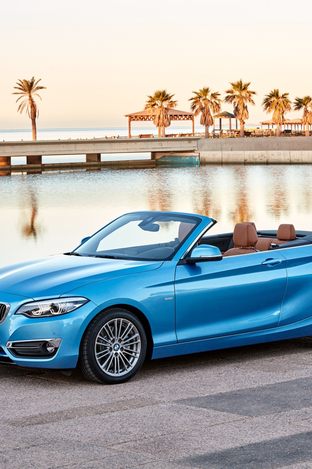 Голубой автомобиль, кабриолет BMW 230i Cabrio Luxury Line Worldwide, 2017