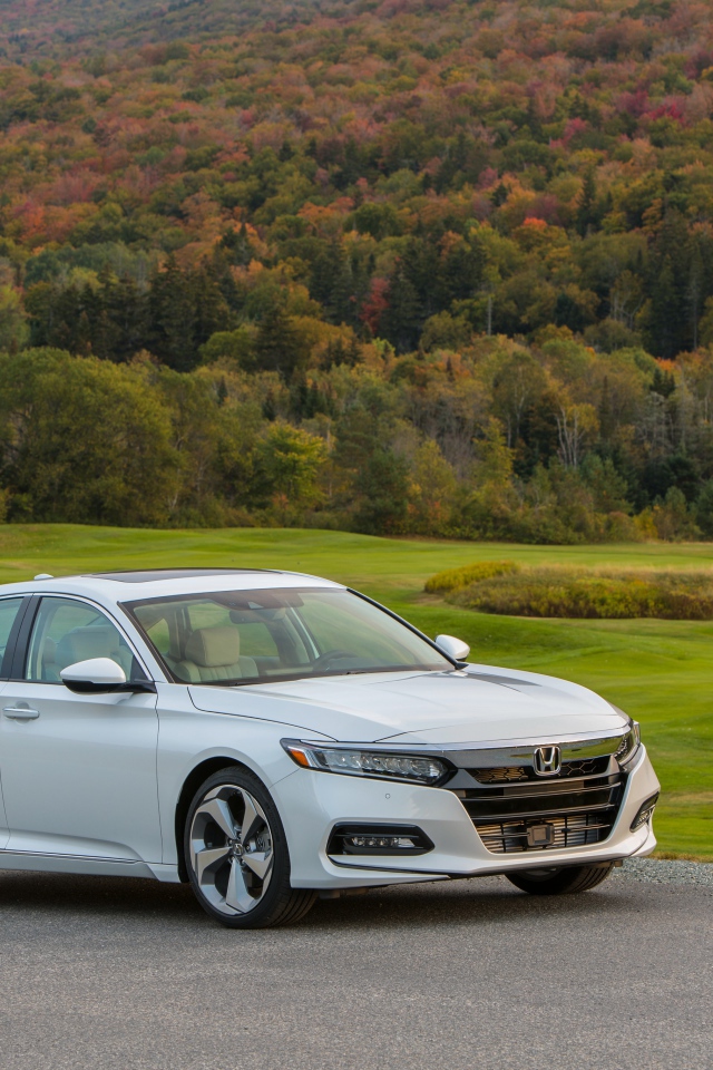 Белый автомобиль Honda Accord на фоне леса