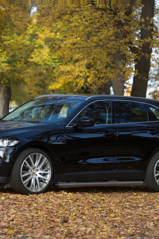 Черный автомобиль  Jaguar F-PACE стоит в парке
