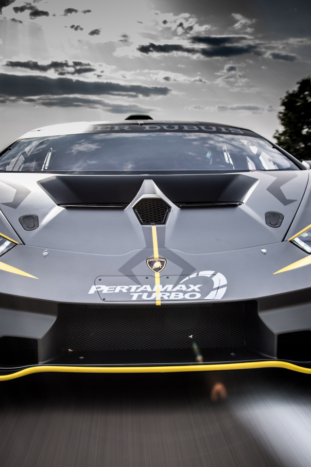 Спортивный автомобиль Lamborghini Huracan Super Trofeo EVO, 2018 вид спереди