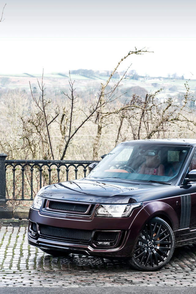 Внедорожник Range Rover цвет бордовый металлик