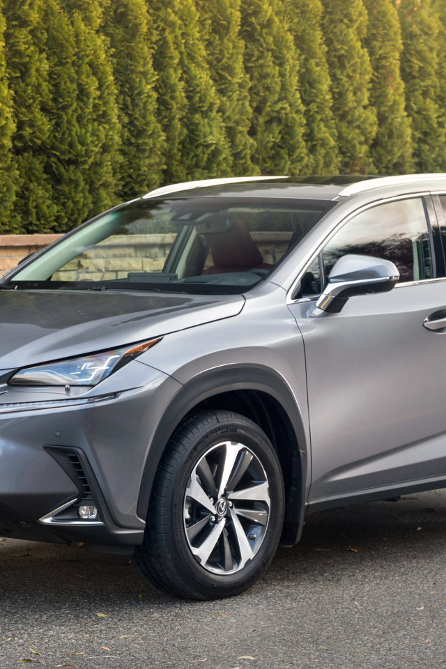 Серебристый внедорожник Lexus NX 300h, 2017 на фоне леса