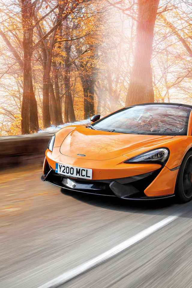 Спортивный автомобиль McLaren 570S Pirelli MC Sottozero 3, 2018 осенью 
