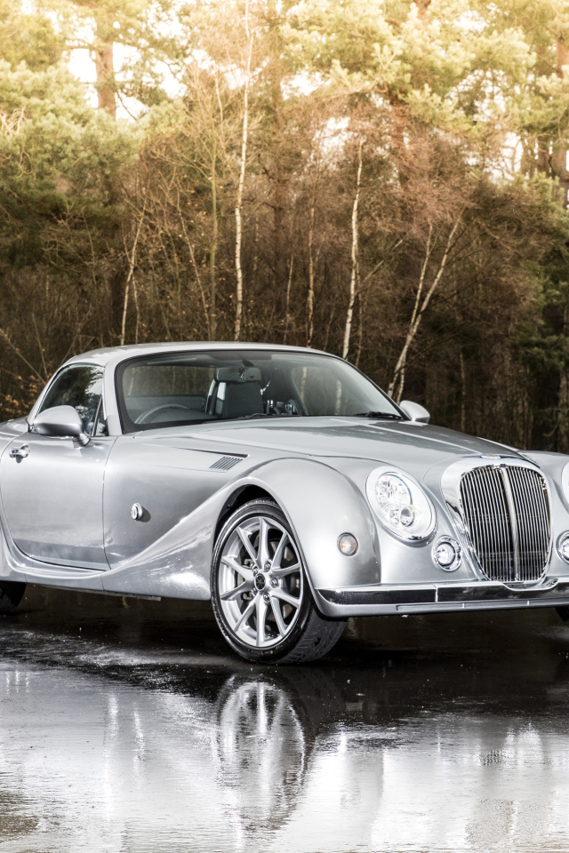 Серебристый автомобиль  Mitsuoka Roadster