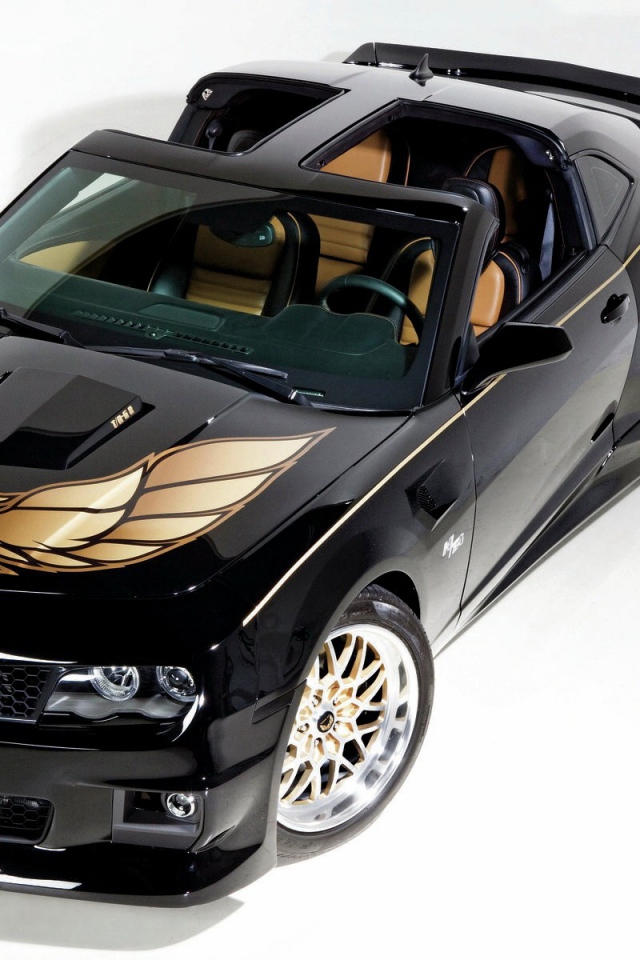 Черный спортивный автомобиль Pontiac Firebird на белом фоне 