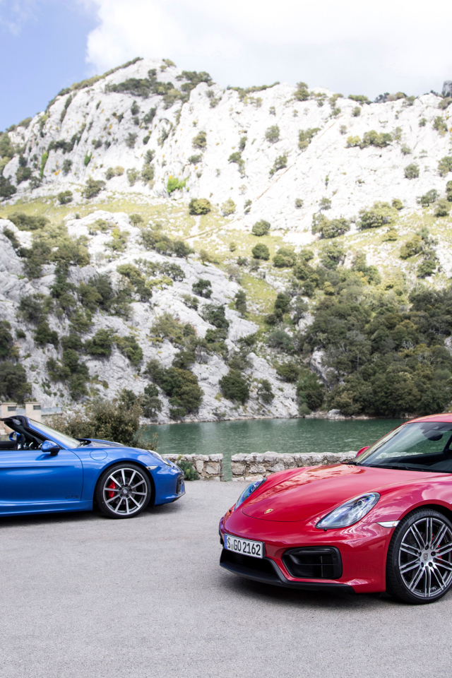 Два спортивных автомобиля Porsche Boxster и Porsche Cayman GTS  у воды 