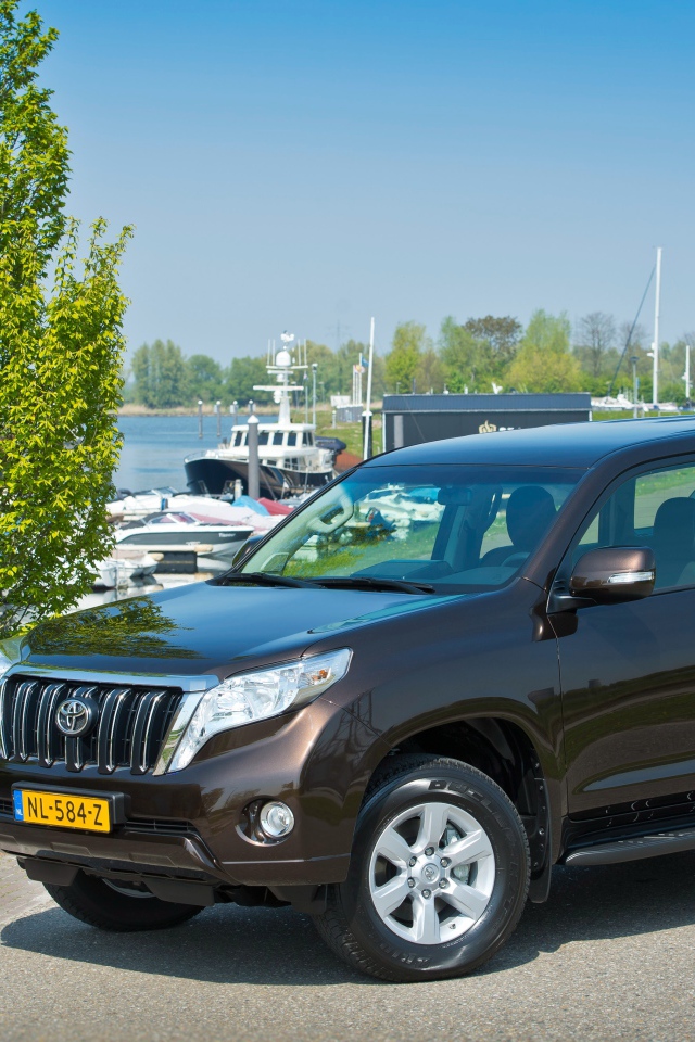 Внедорожник Toyota Land Cruiser Challenger, 2017 