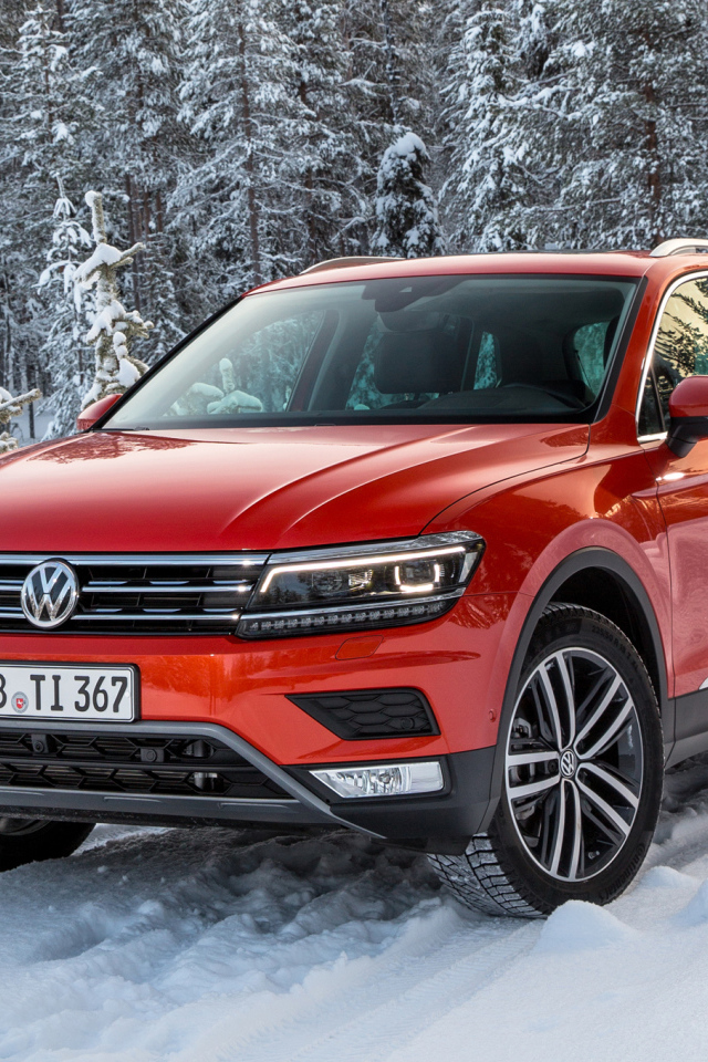 Красный Volkswagen Tiguan 2017 года в заснеженном лесу 