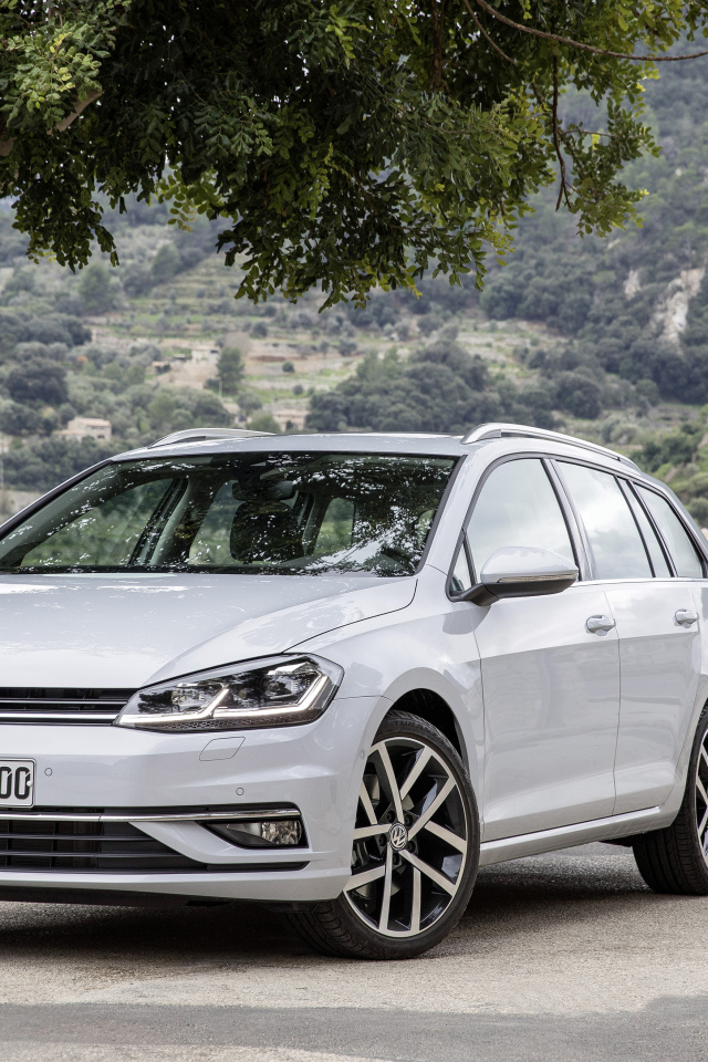 Серебристый Volkswagen Golf TDI Variant Worldwide (Typ 5G), 2017 под деревом 