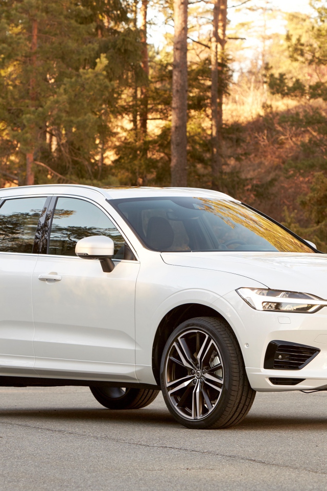 Белый внедорожник Volvo XC60 на дороге