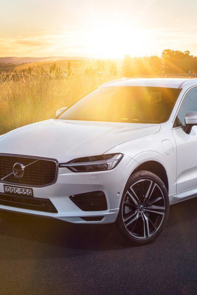 Белый автомобиль Volvo XC60 T8 Inscription, 2018 в лучах солнца