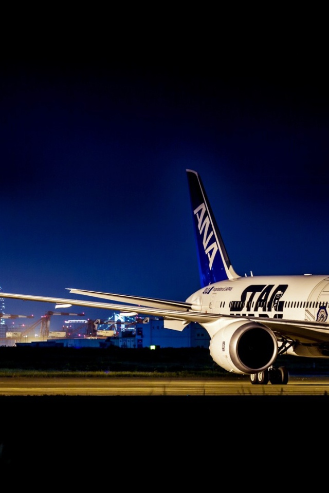 Самолет Boeing 787 в аэропорту 