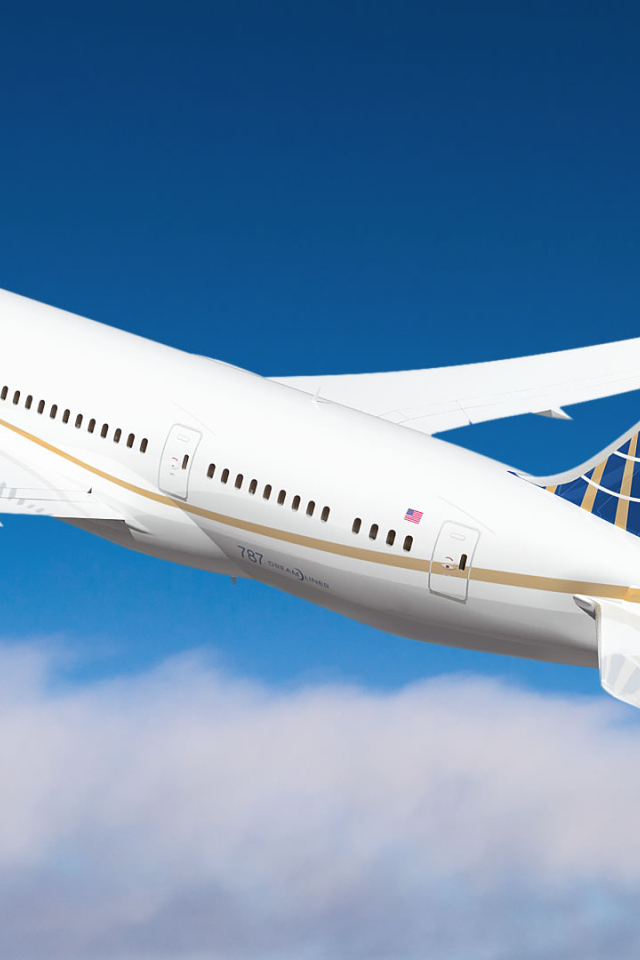 Boeing 737-800 авиакомпании United Airlines 