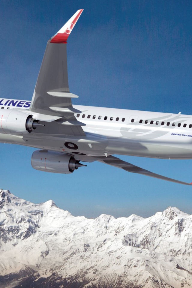 Boeing 737 - 900ER авиакомпании Turkish Airlines пролетает над заснеженными горами