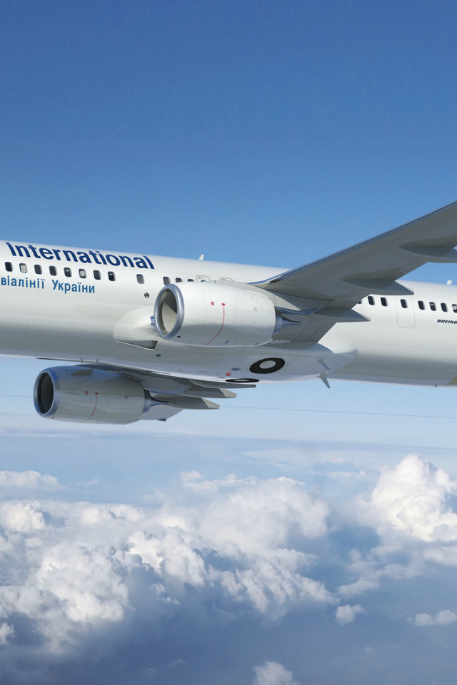 Boeing 737 авиакомпании МАУ в небе  