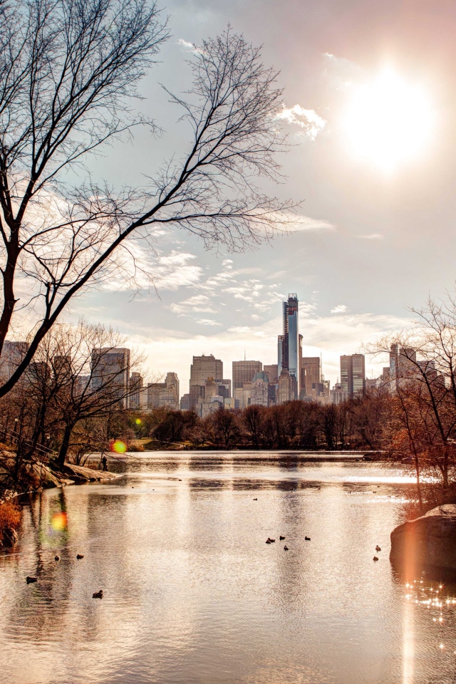 Вид на небоскребы из  городского парка 