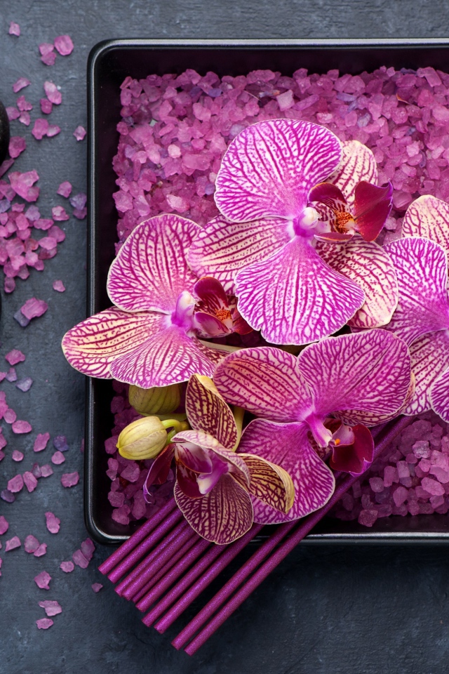 Цветы орхидеи с ароматическими палочками, камнями и солью