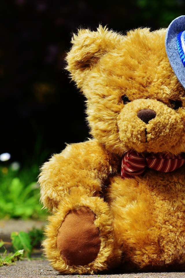 Плюшевый медведь в шляпке сидит на дороге