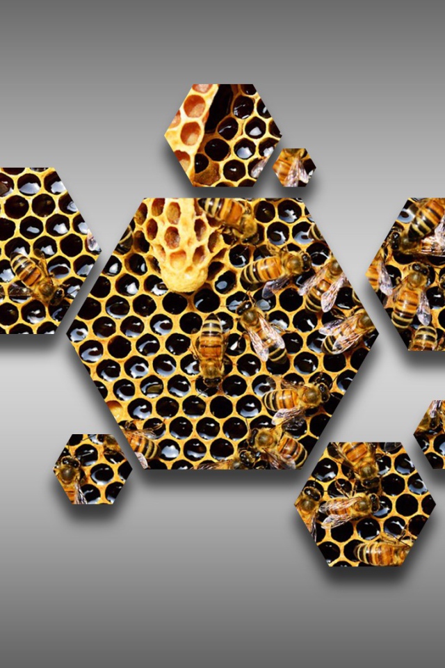 Шестиугольные соты с пчелами на сером фоне  