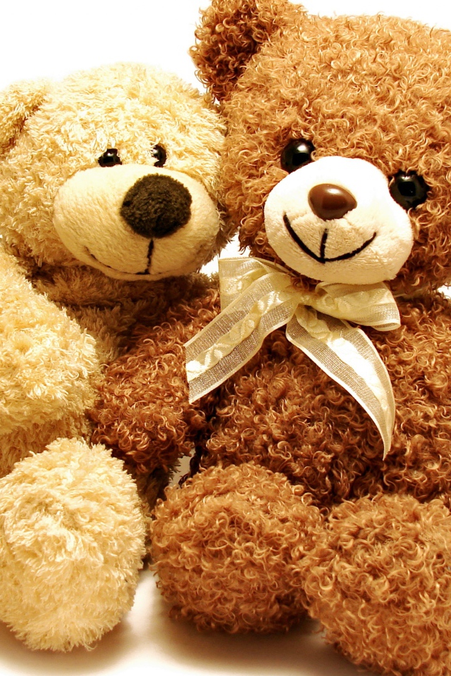 Два плюшевых медвежонка на белом фоне