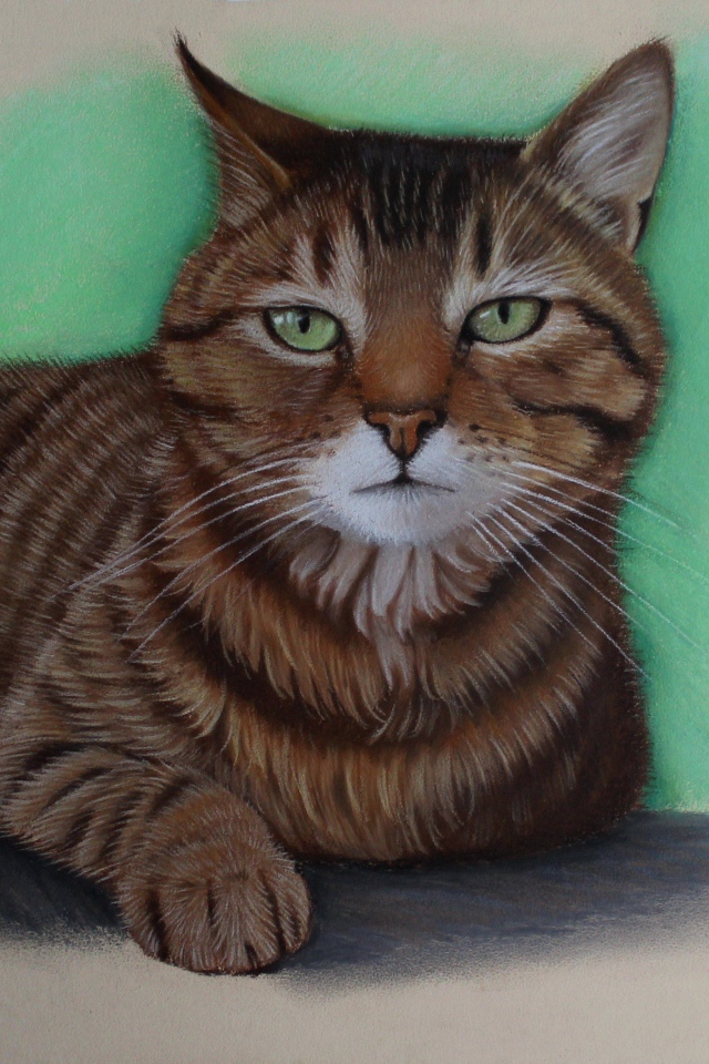 Нарисованный зеленоглазый кот
