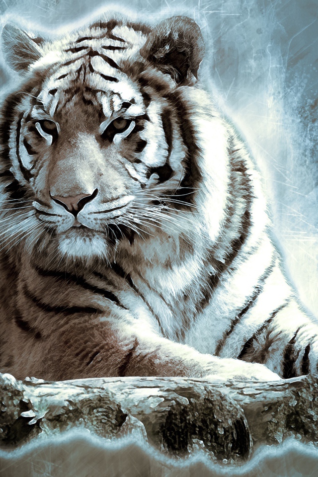 Нарисованный большой белый тигр