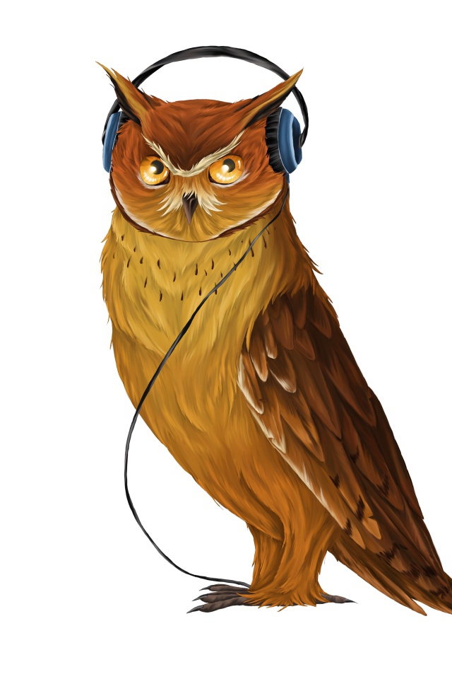 Painted owl in headphones on a white background