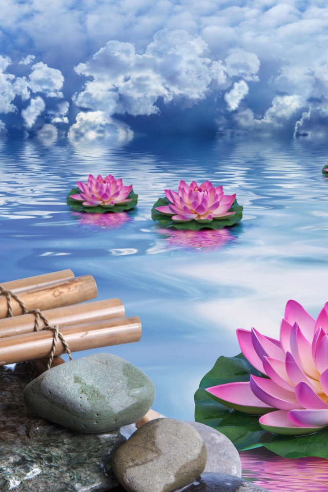 Фантастические кувшинки в воде под голубым небом