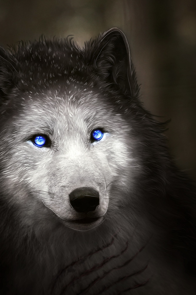 Фантастический белый волк с голубыми глазами